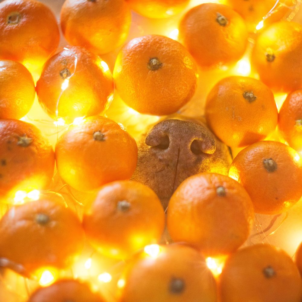 Photograph by Ирина Корх