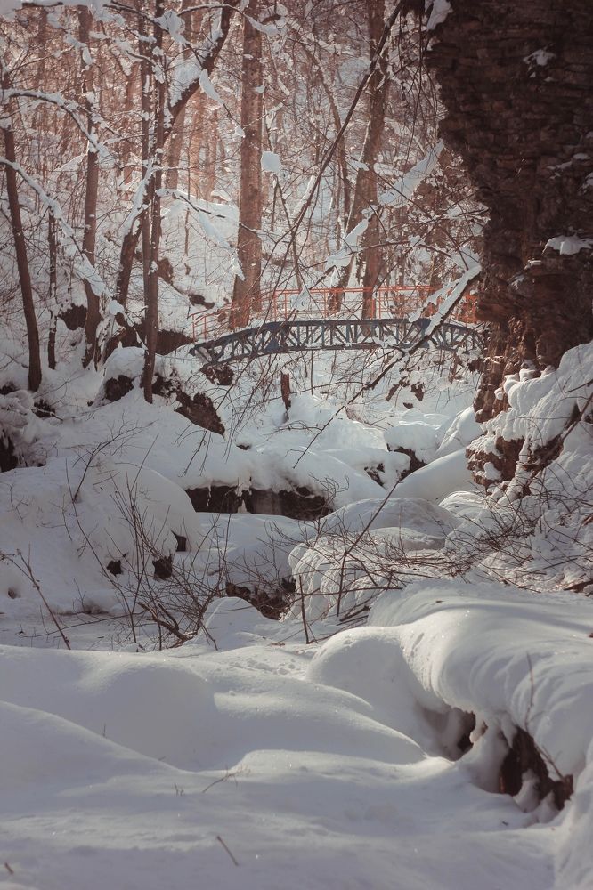 Photograph by Ольга Григоренко