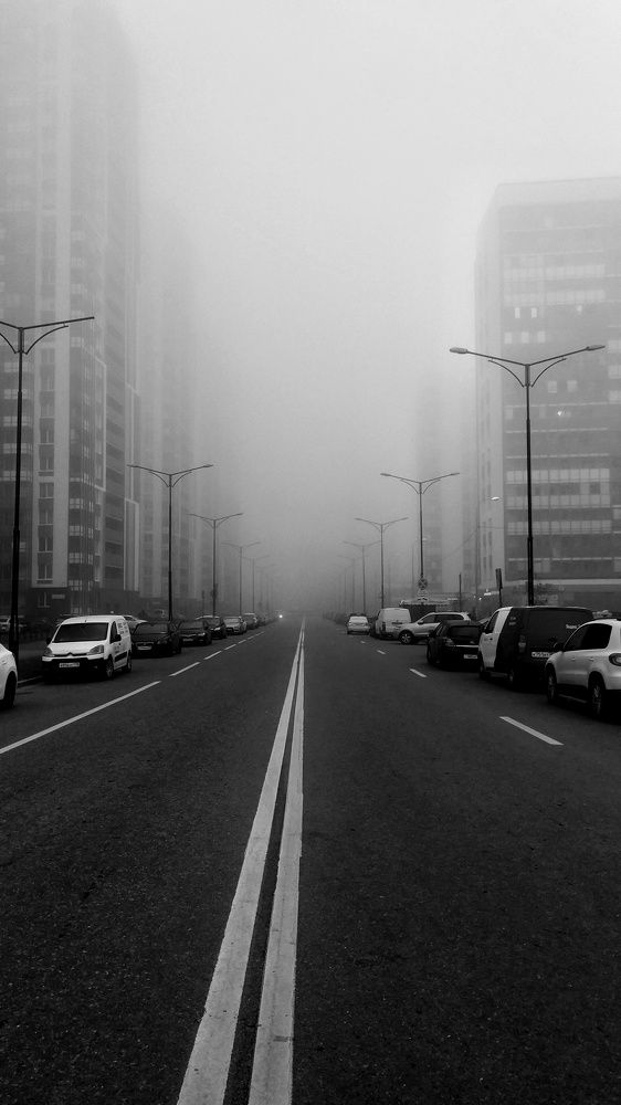 Photo #6985066