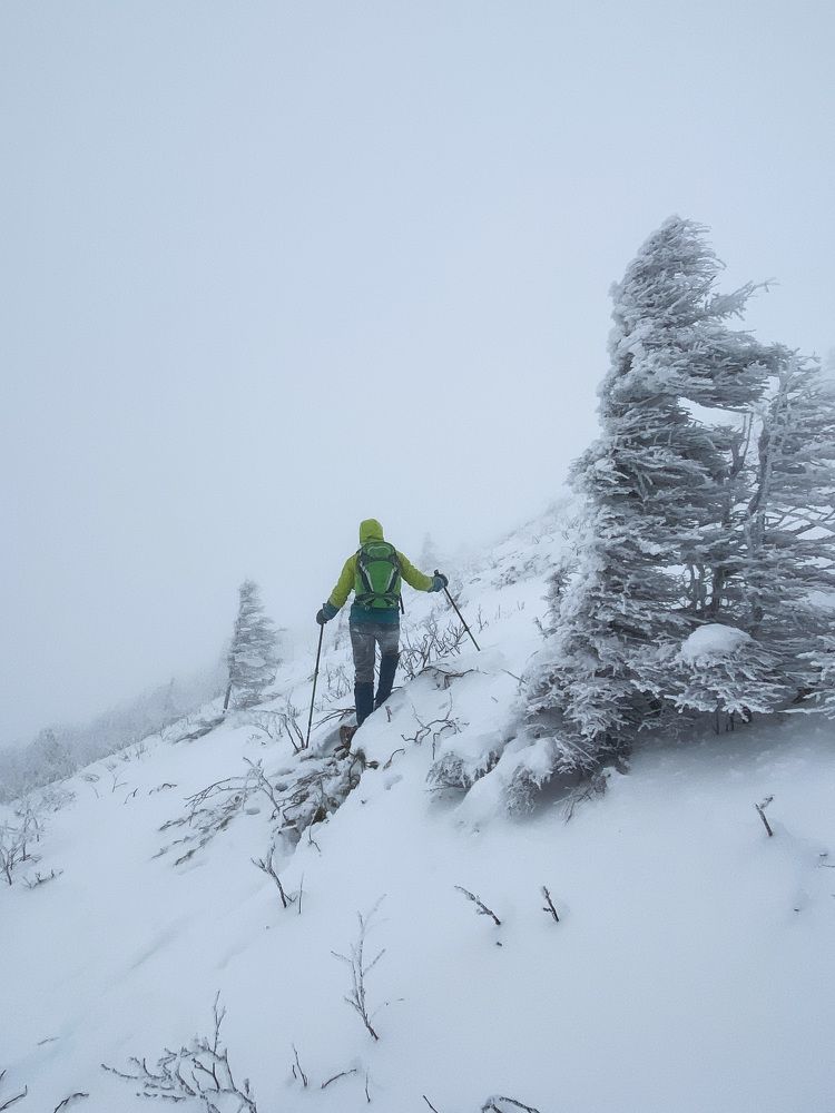 Photograph by Сергей Шевень