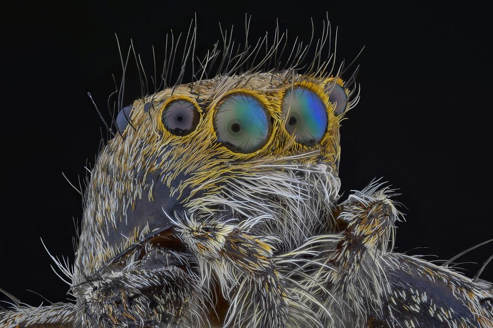 Photograph by Amgad ELSHAMY