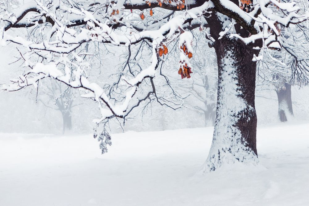 Photograph by Mihai Romeo Bogdan