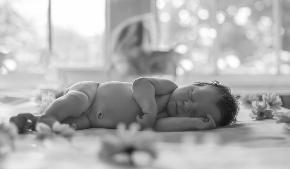 Фотография автора Сигидова Ирина