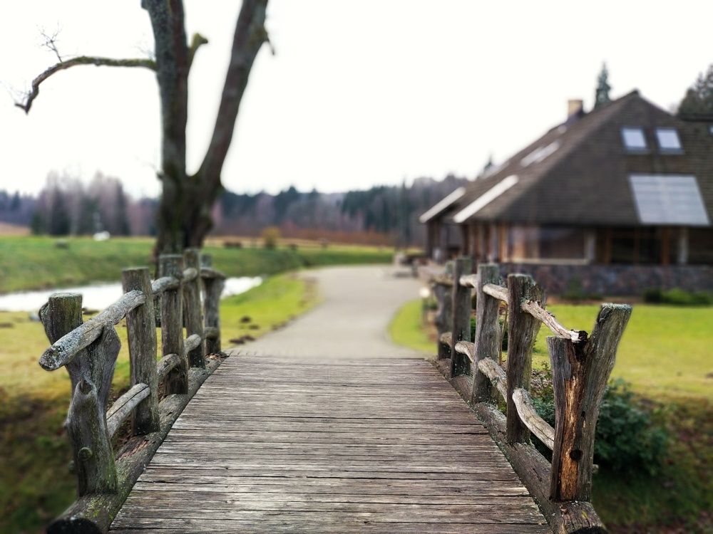 Photograph by Александра Борисова