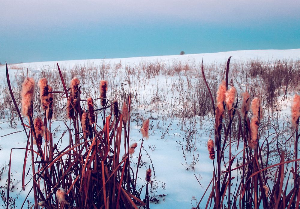 Фотография автора Людмила Иванова