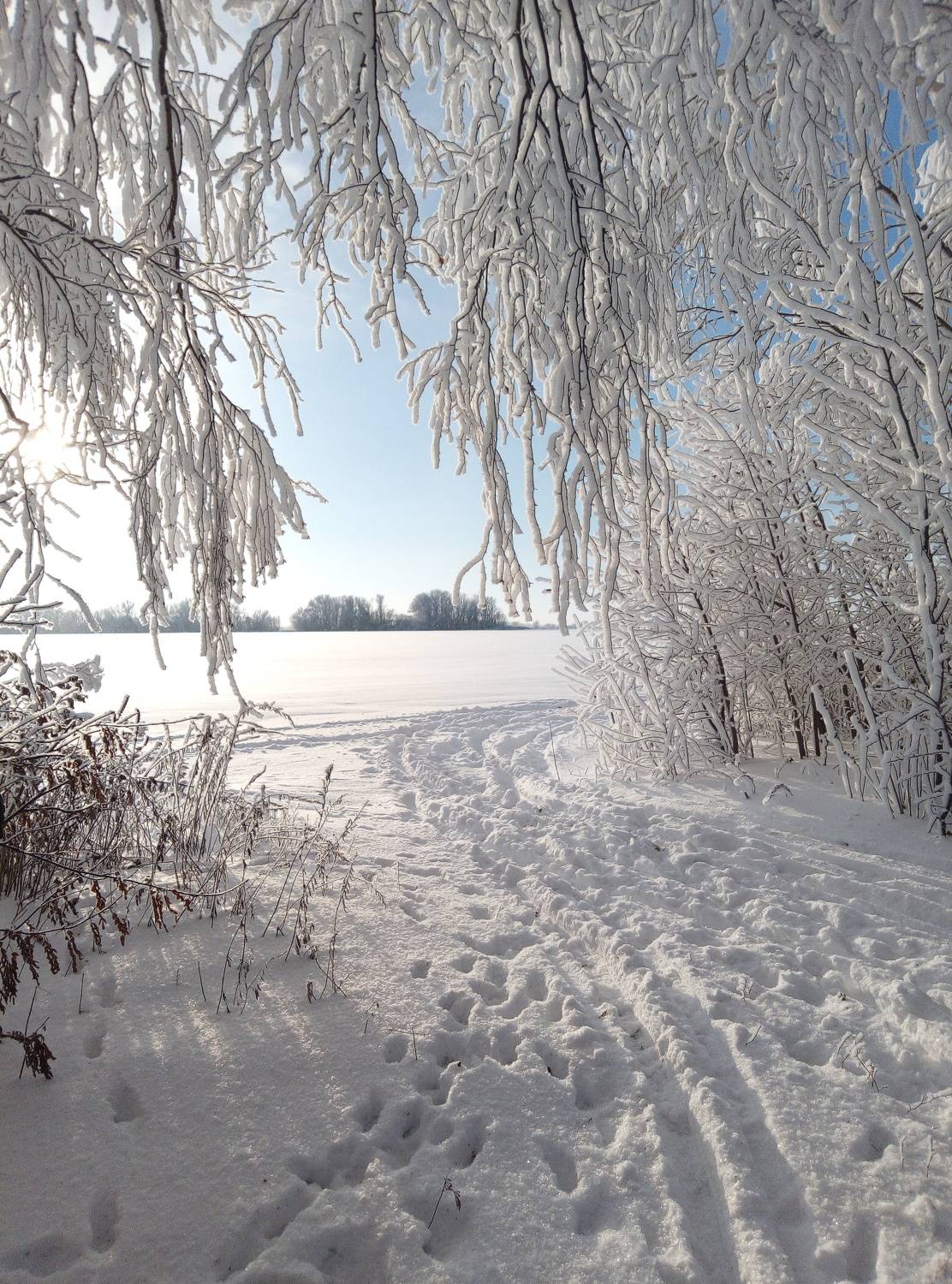 Photo #6985210