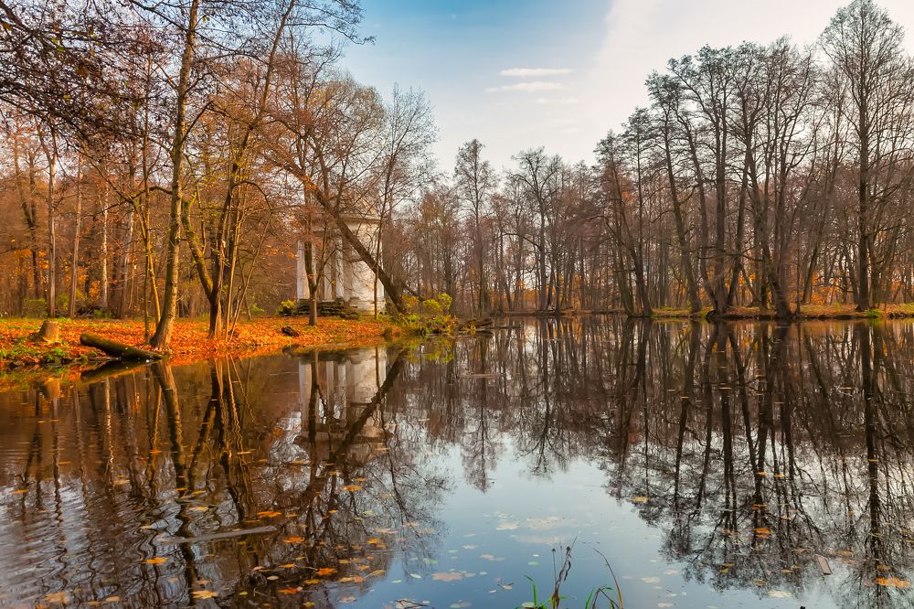 Фотография автора Oleg Podlesnykh