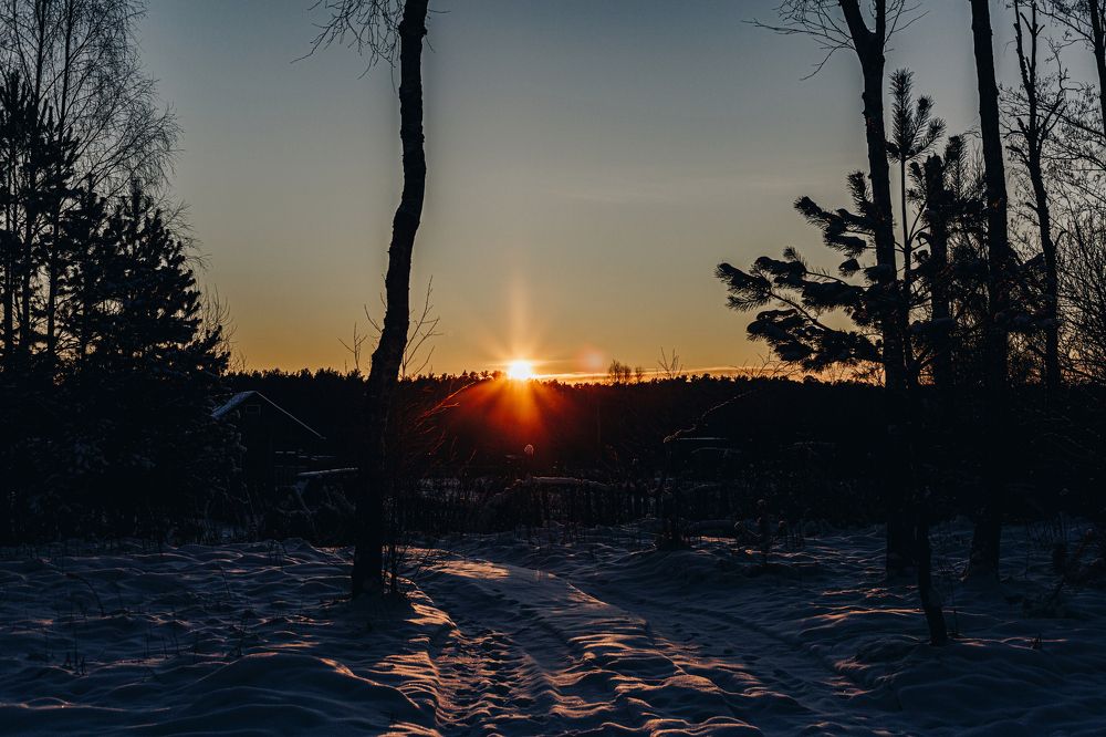 Фотография автора Лукашенко Ольга
