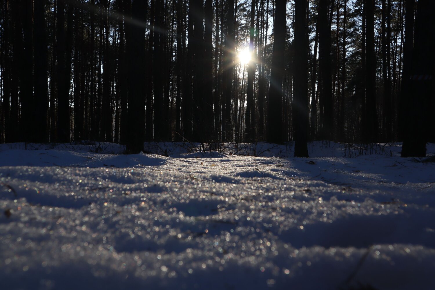 Photo #6985302