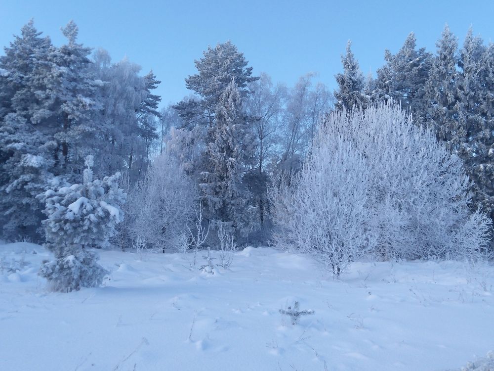 Photograph by ЕКАТЕРИНА БУЛАНОВА