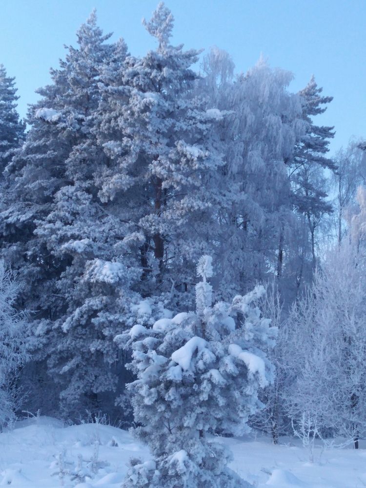 Photograph by ЕКАТЕРИНА БУЛАНОВА