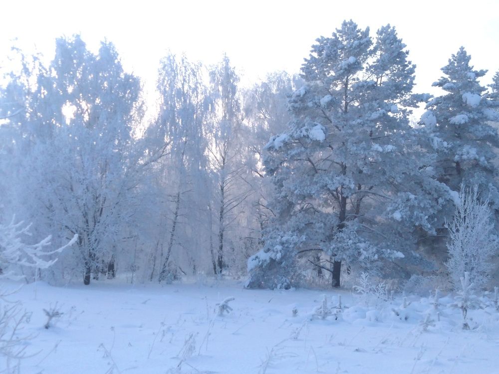 Photograph by ЕКАТЕРИНА БУЛАНОВА