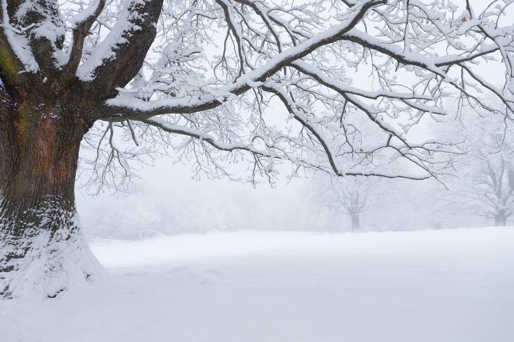 Photograph by Mihai Romeo Bogdan