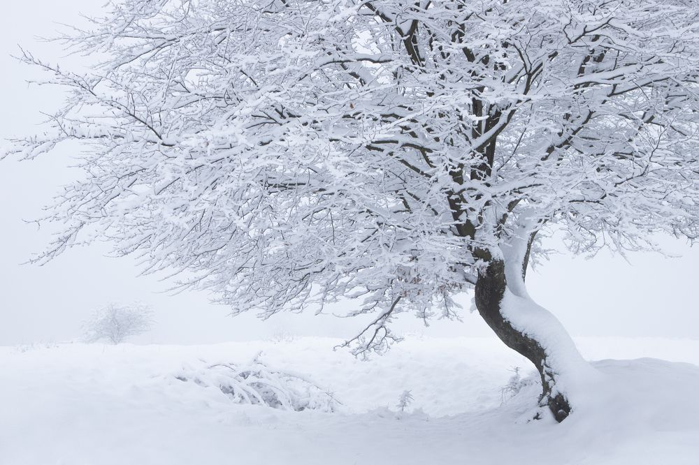 Photograph by Mihai Romeo Bogdan