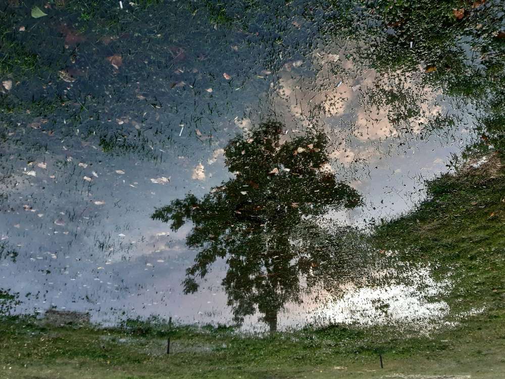 Photograph by Марина Рафаелян