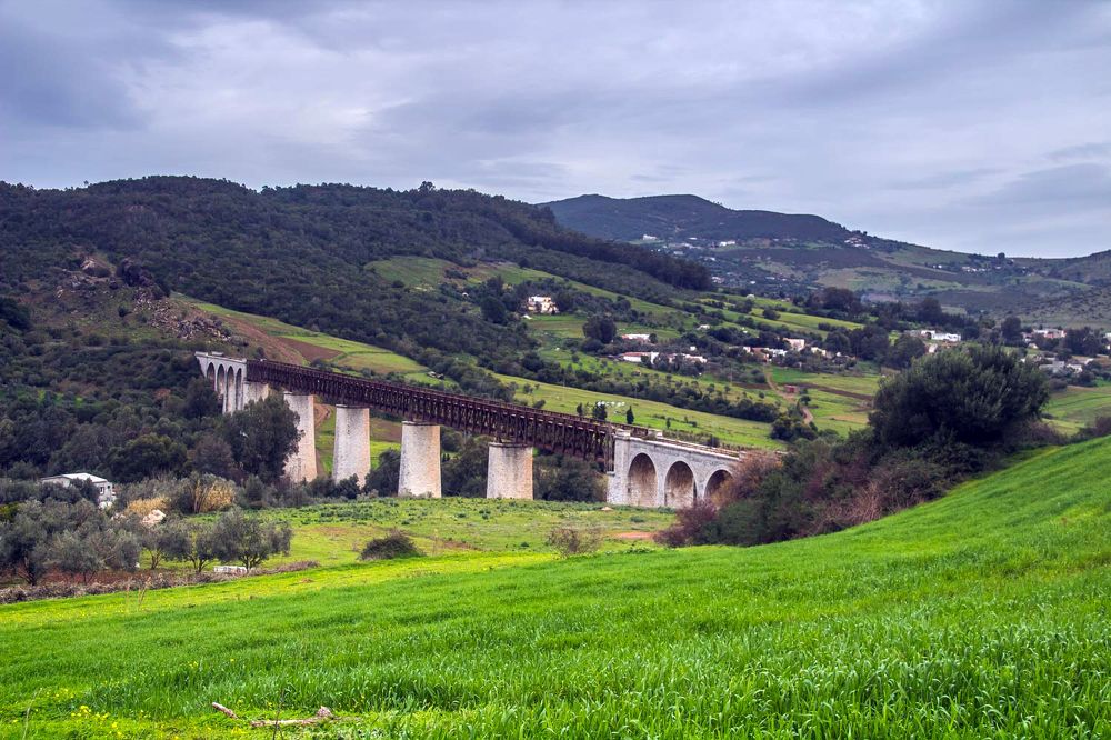 Фотография автора Ismail SAIDI