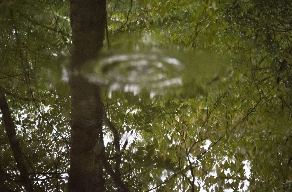 Photograph by Татьяна Воронцова