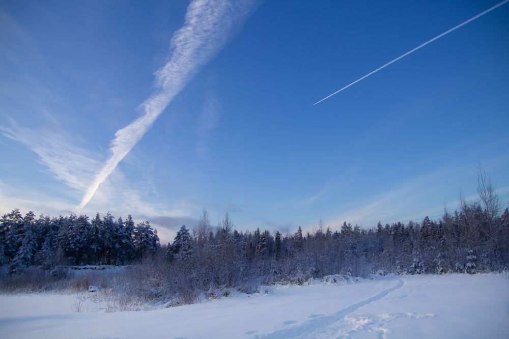 Фотография автора Татьяна Степанова