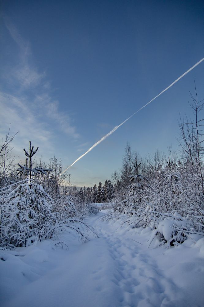 Фотография автора Татьяна Степанова