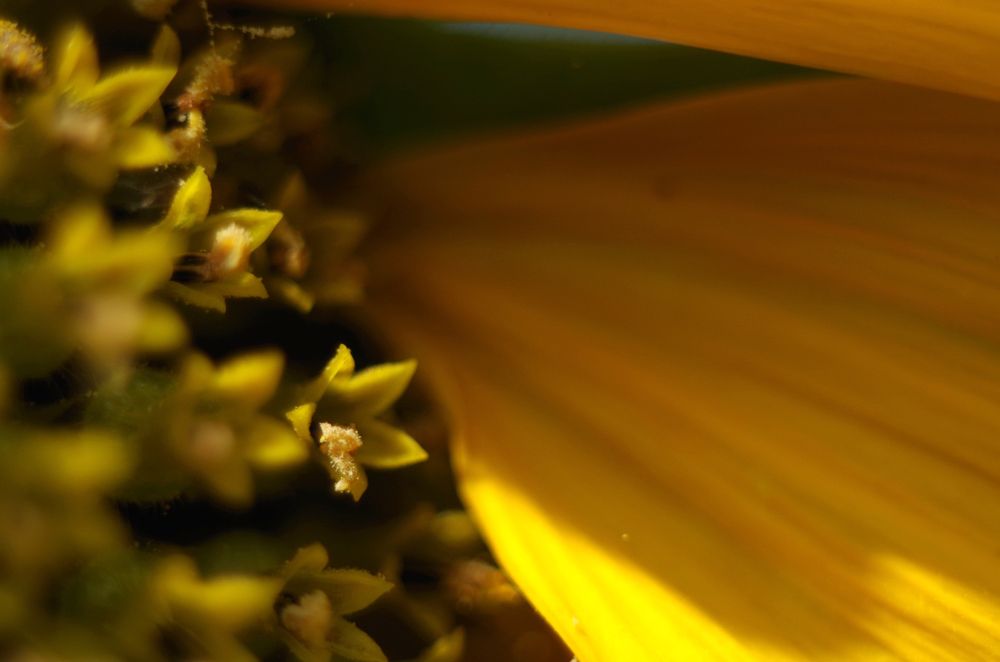 Photograph by Алина Семёнова