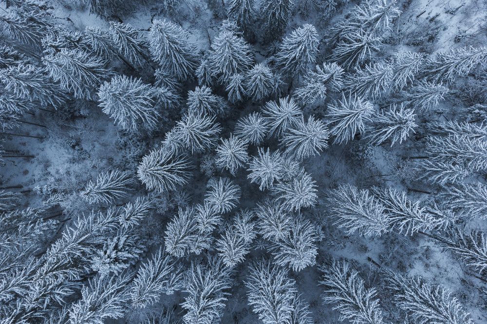 Photograph by Alex Coman