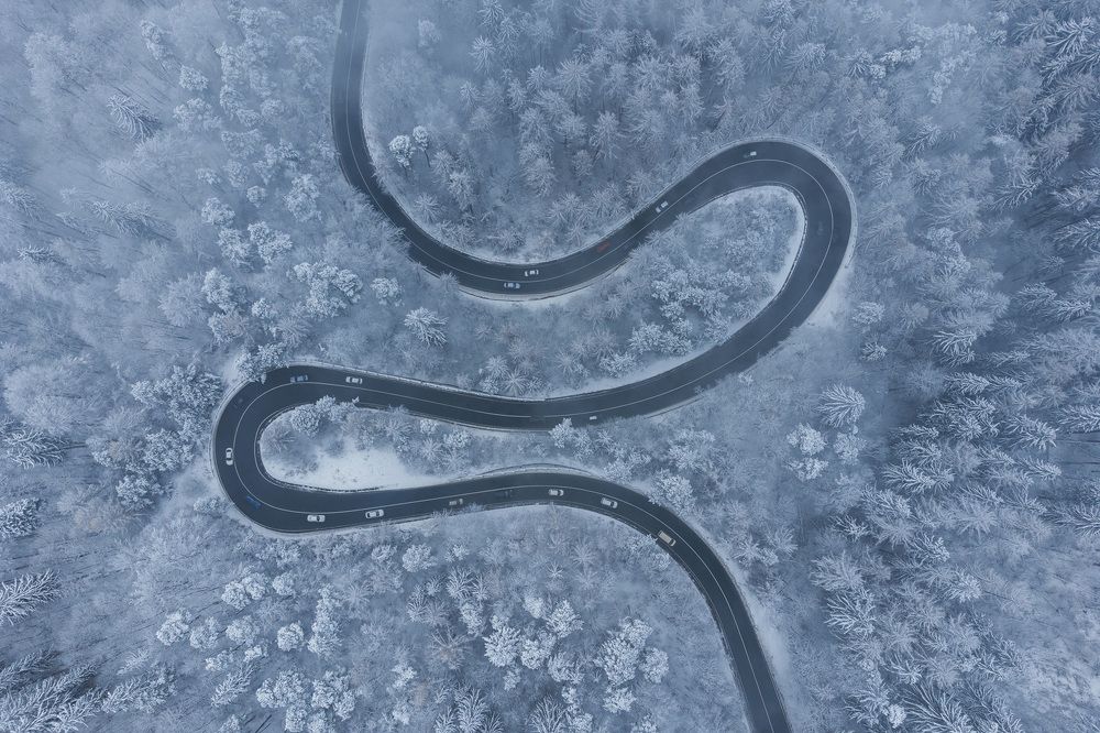 Photograph by Alex Coman