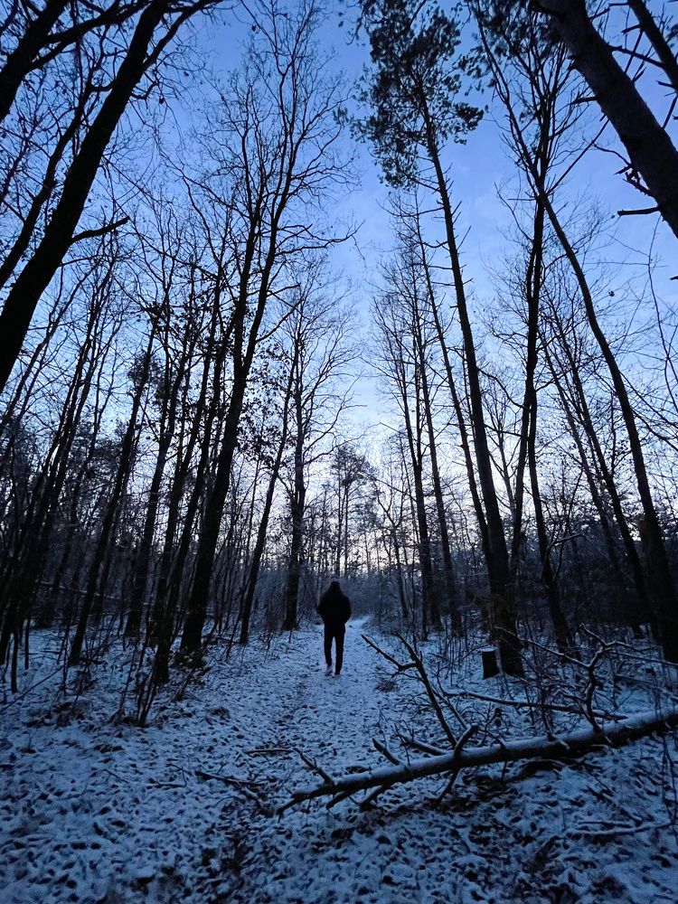 Photograph by Алина Шевченко