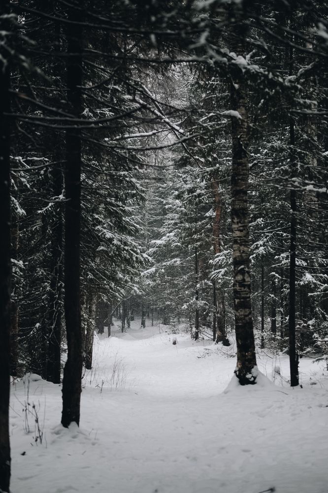 Photograph by Юлия Балдина