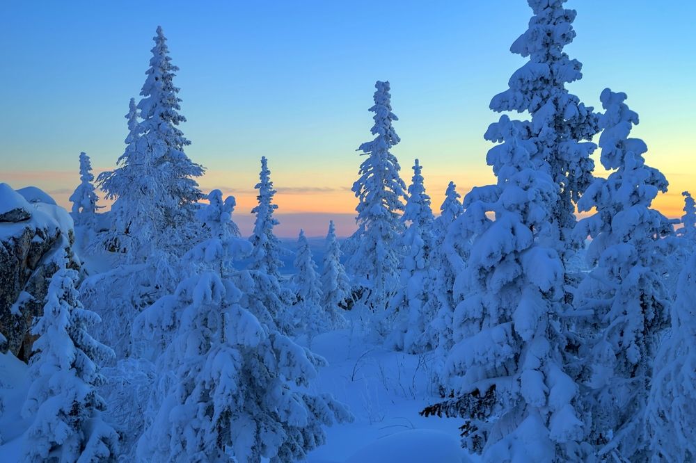 Photograph by Елена Перминова