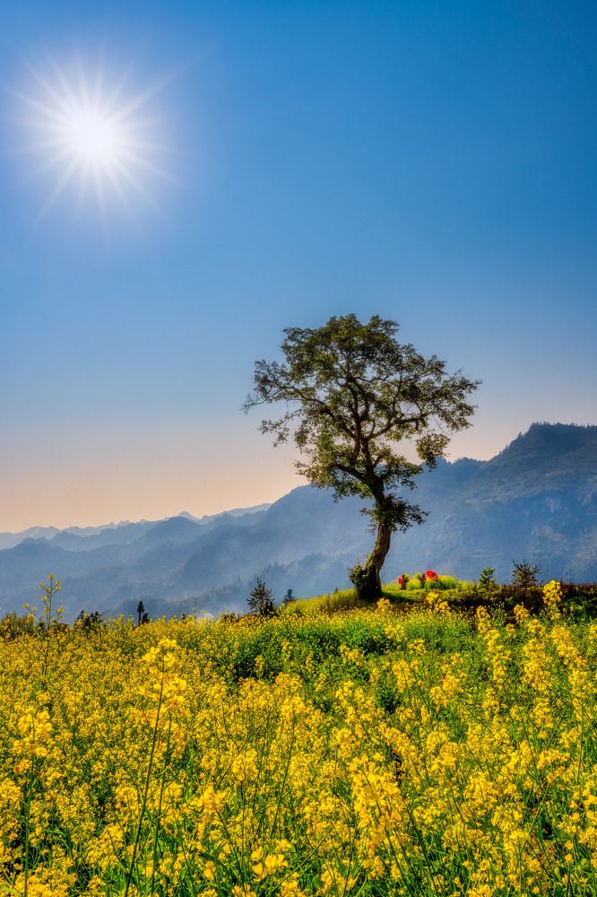 Shinning with the sun.