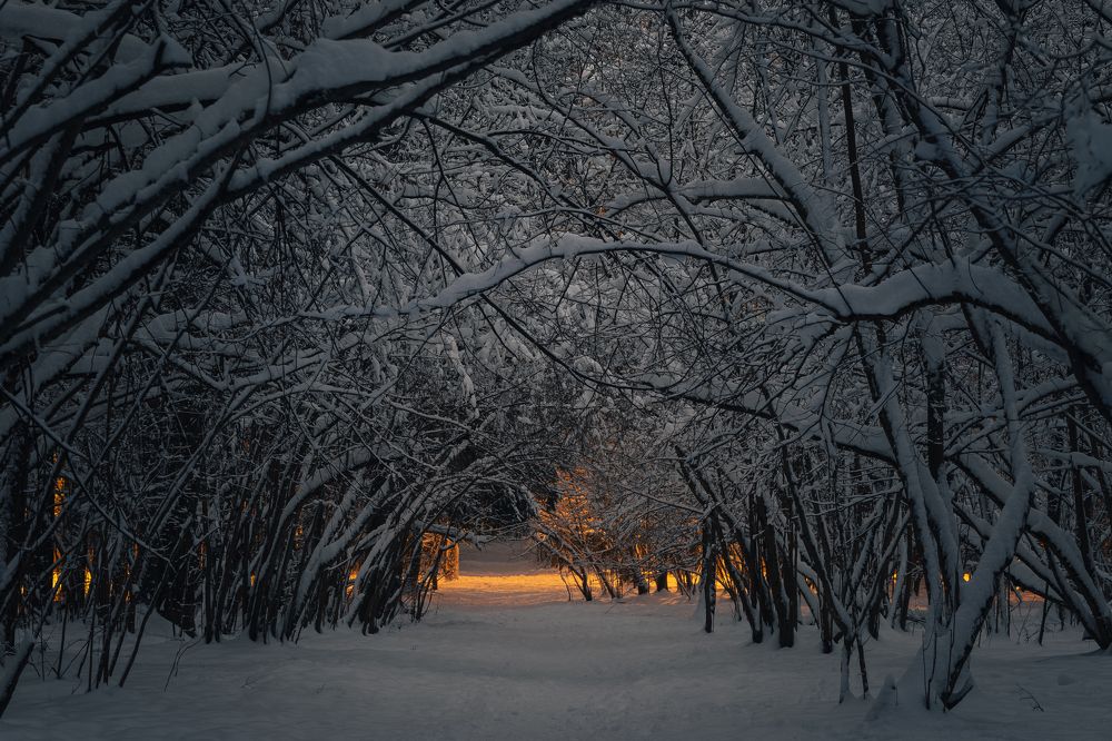 Photograph by Евгений Драбленков