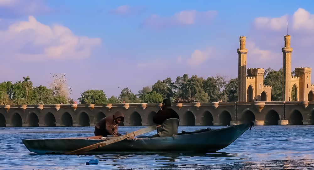 Фотография автора Adel elqamhawi Mohamed