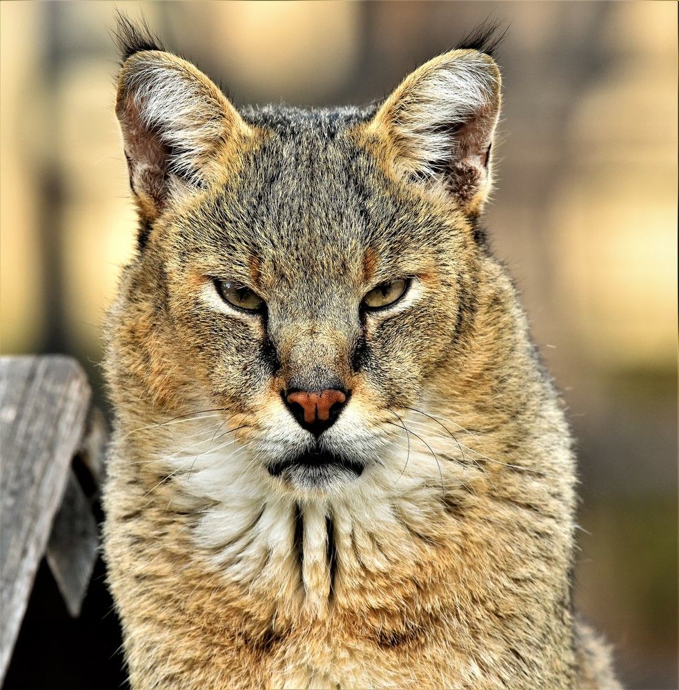 Photograph by Кирилл Соколов