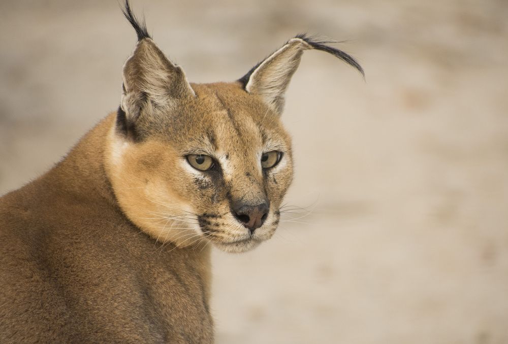 Photograph by Miguel Pedrero Rubio