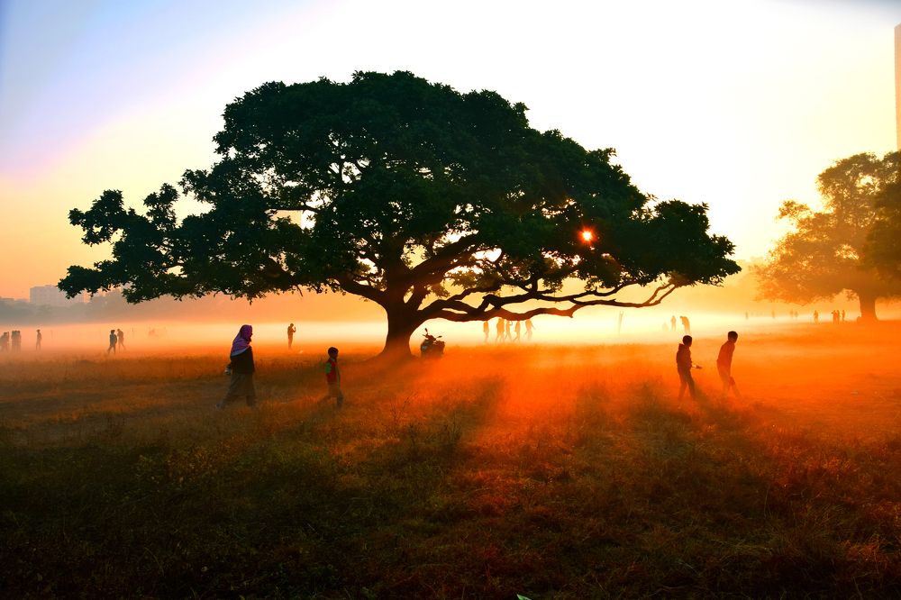 Photograph by Chinmoy Maji