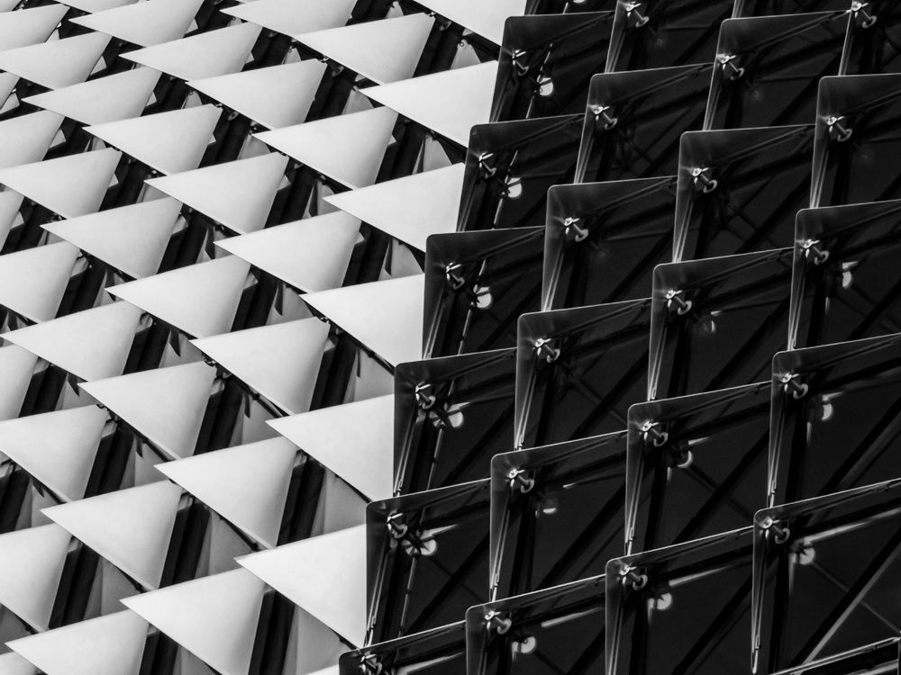 Photograph by Mengguo Li