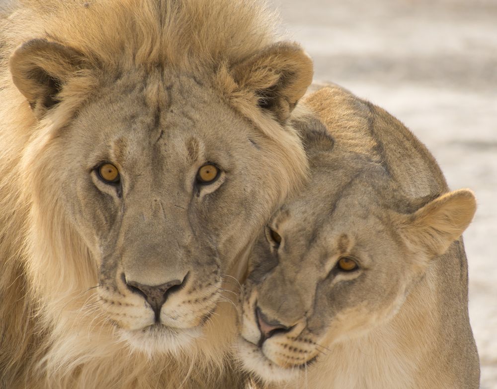 Photograph by Miguel Pedrero Rubio