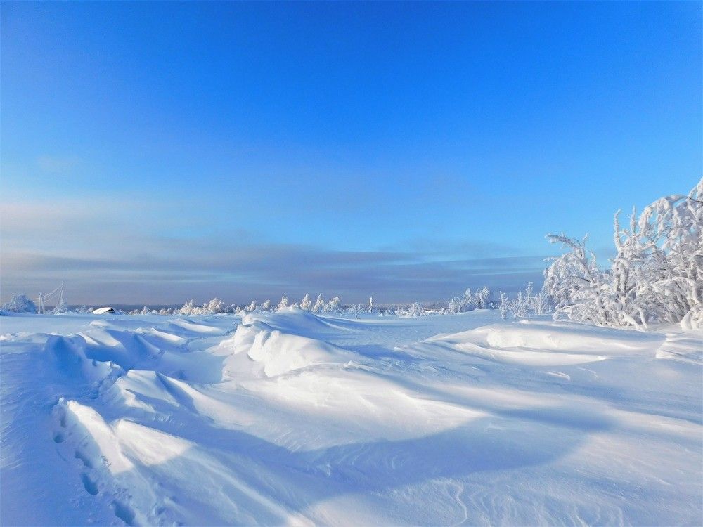 Photograph by Чкареули Светлана