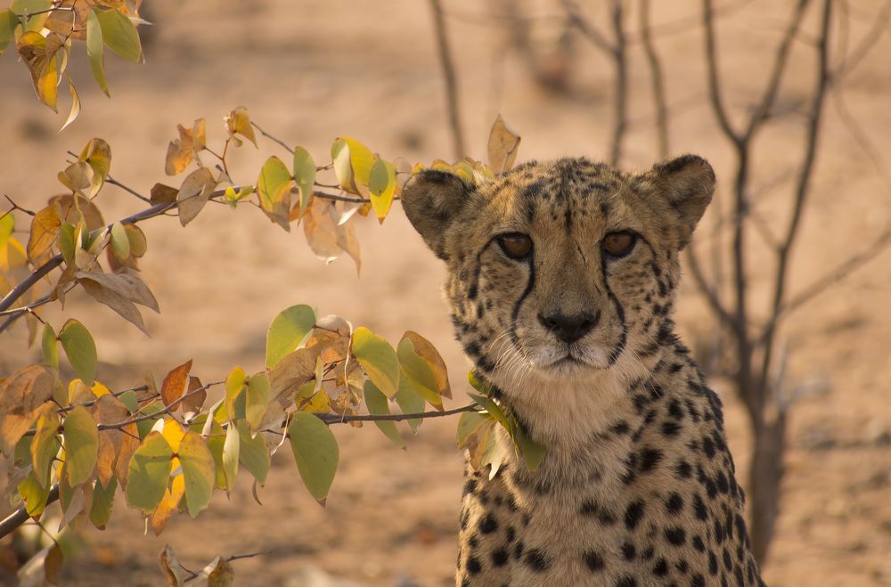 Photograph by Miguel Pedrero Rubio