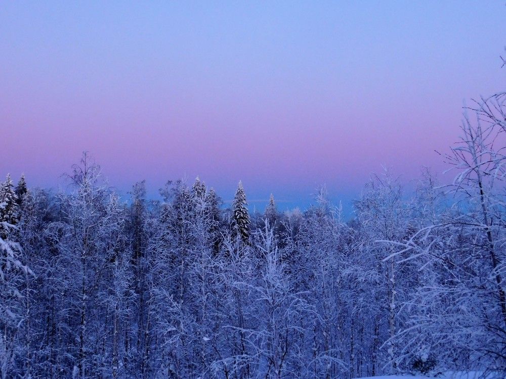 Photograph by Чкареули Светлана