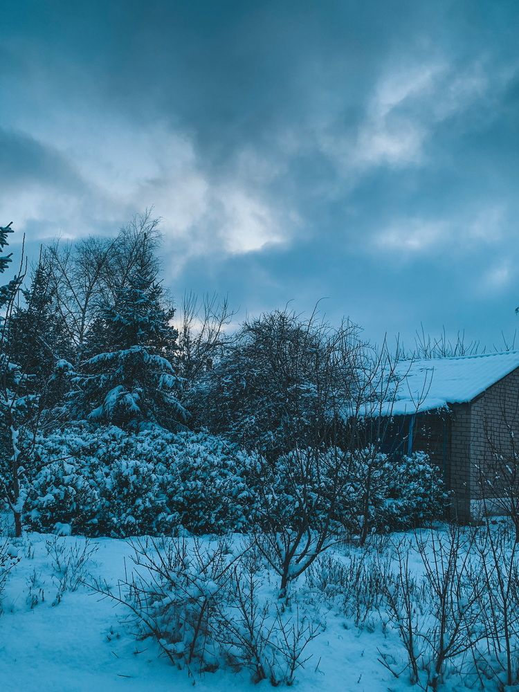 Photograph by Евгения Немцева