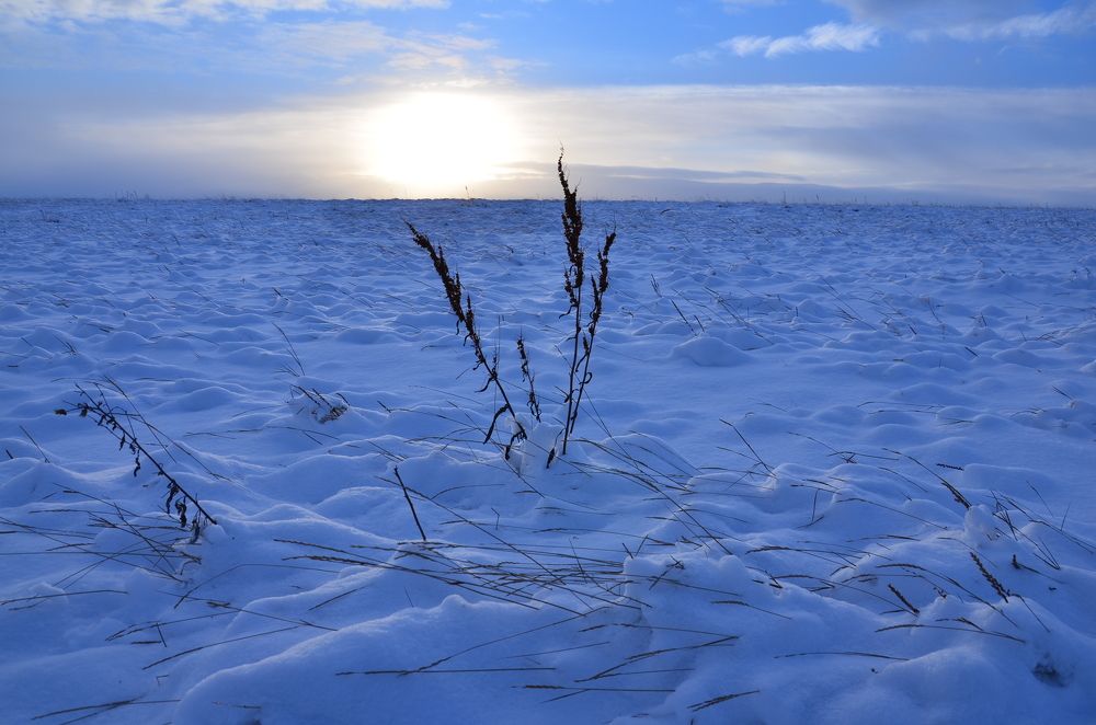 Photograph by Людмила Воропаева