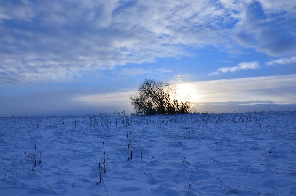 Photograph by Людмила Воропаева