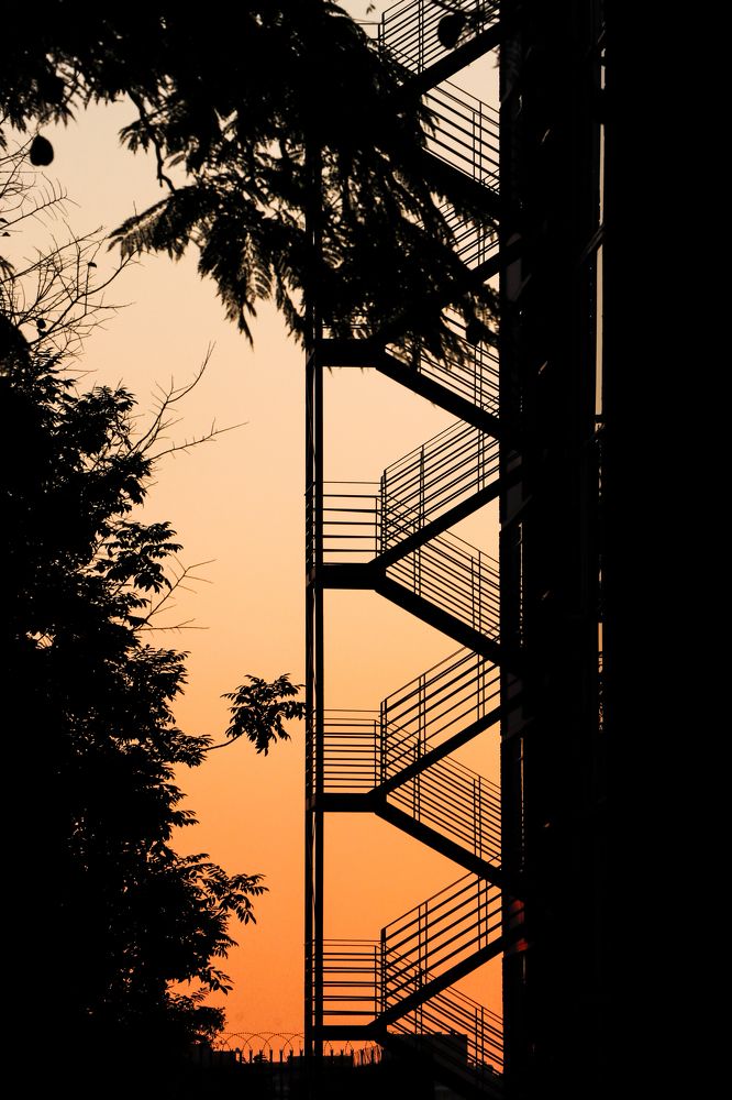 Nature vs Architecture