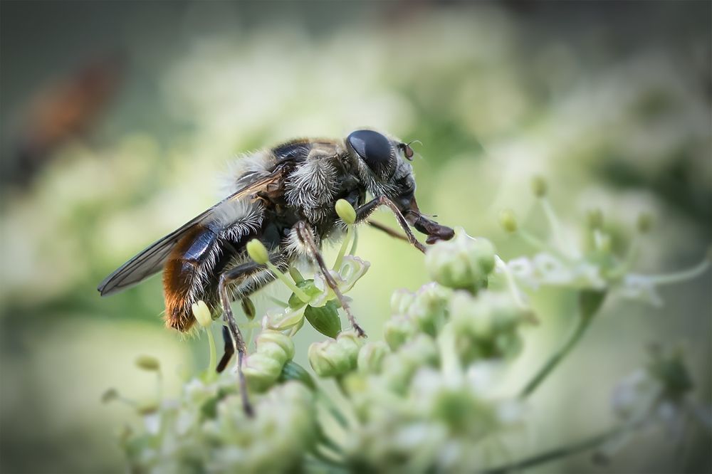 Photograph by Марина Хилько