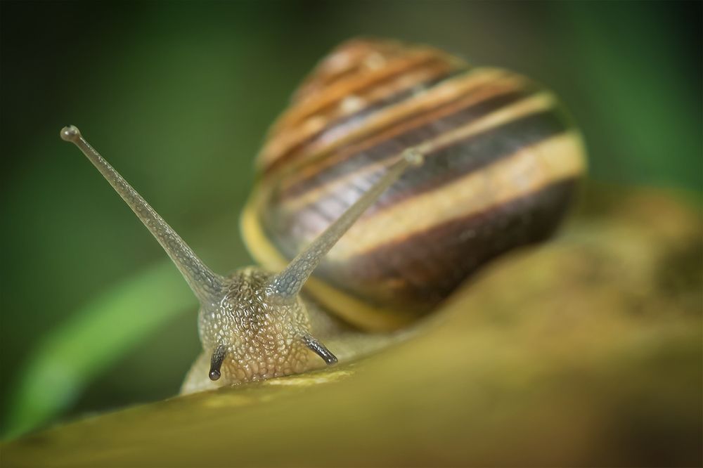 Photograph by Марина Хилько