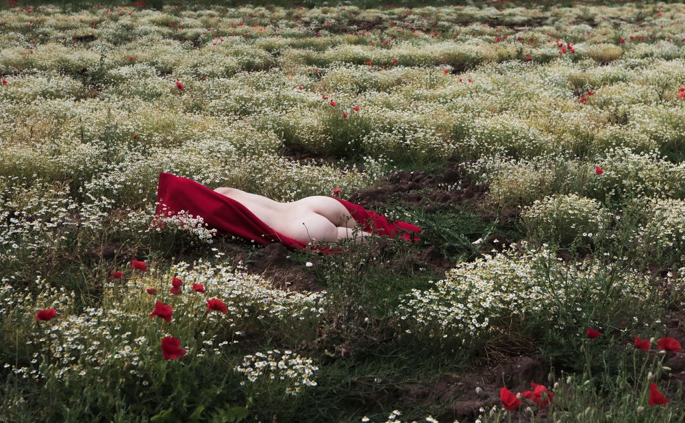 Фотография автора Lucie Nechanicka