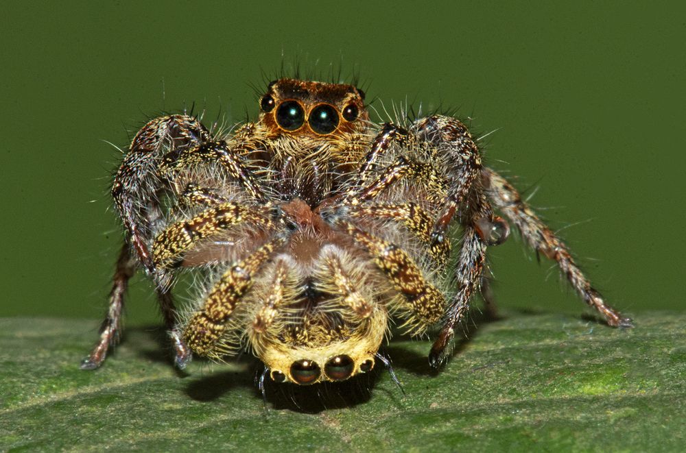 Photograph by CHINMOY BISWAS