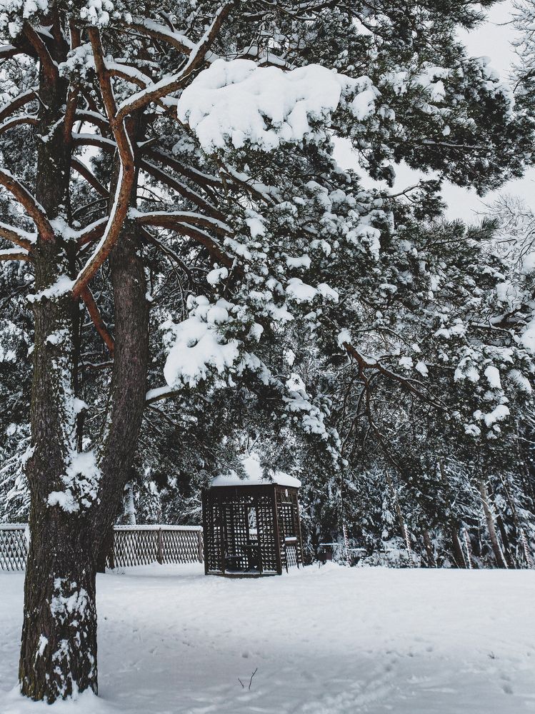 Photograph by Александра Кропивка