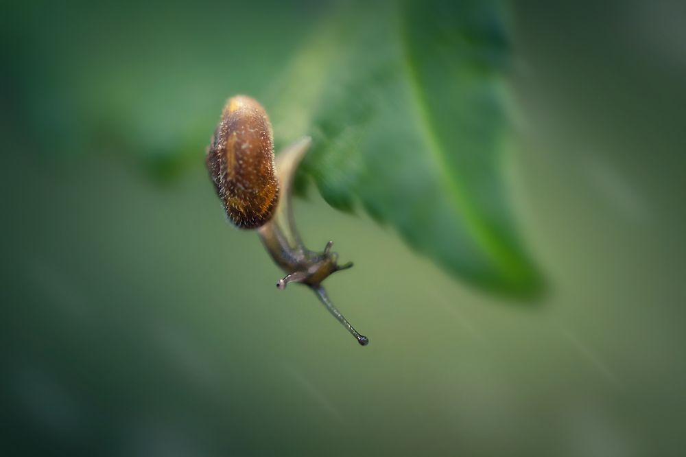 Photograph by Марина Хилько